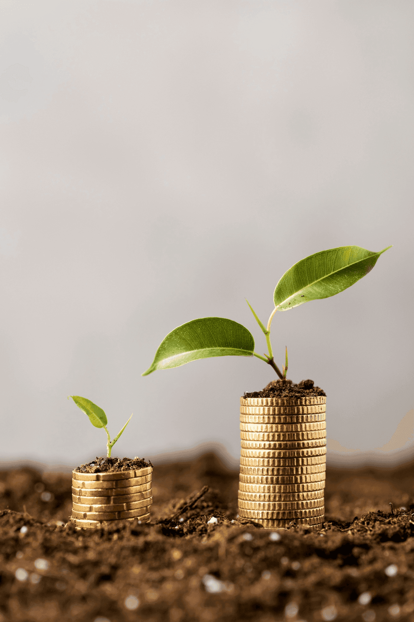 Financial & Career Literacy